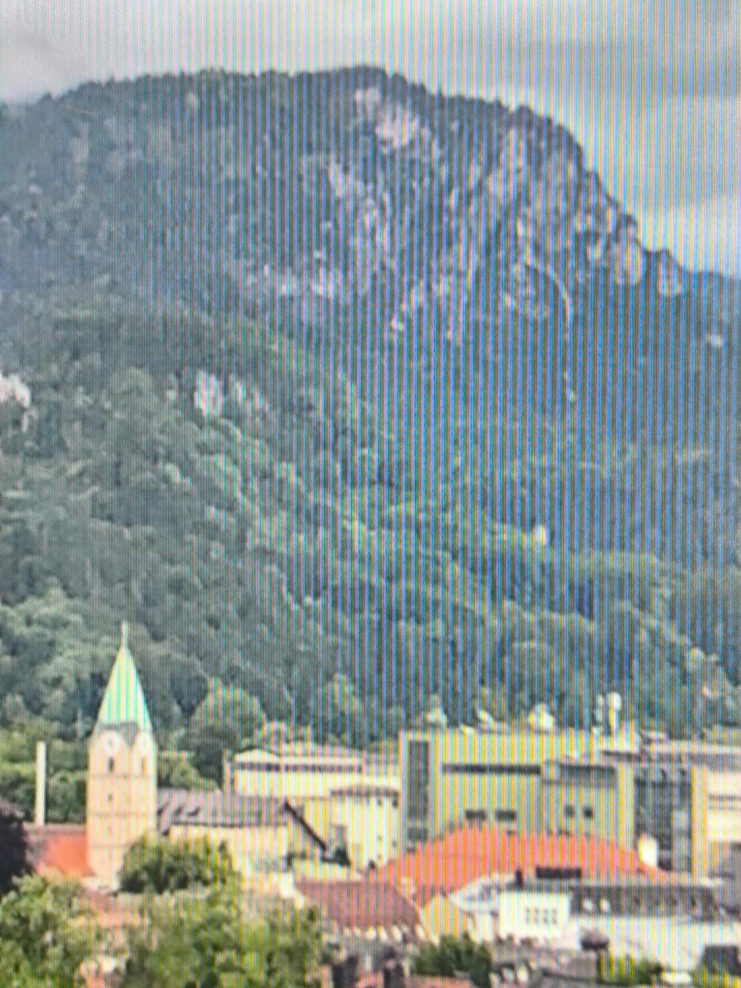 Panoramahaus 6140 Appartement Bad Reichenhall Buitenkant foto